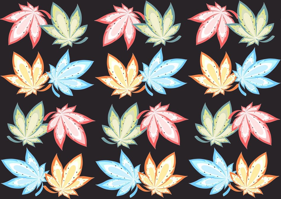 Pattern Autumn Season Nature