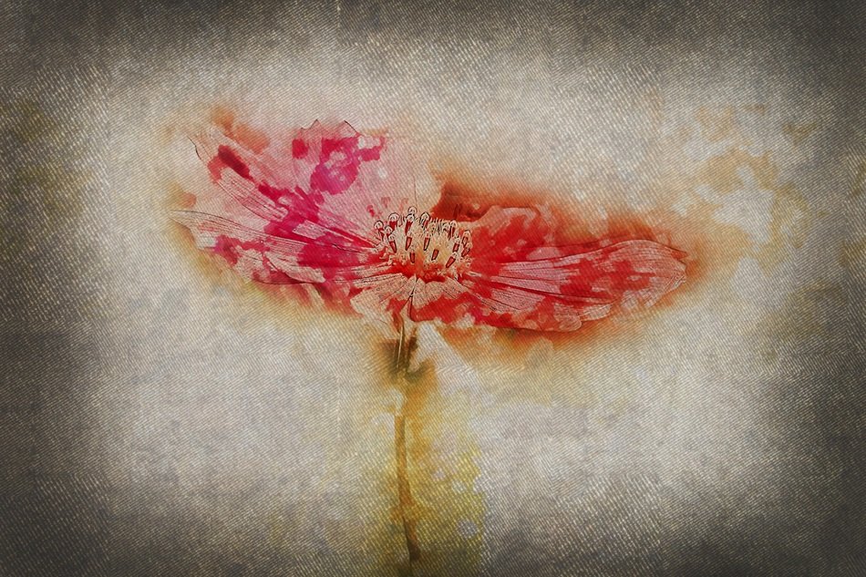 flower on the wallpaper in digital design