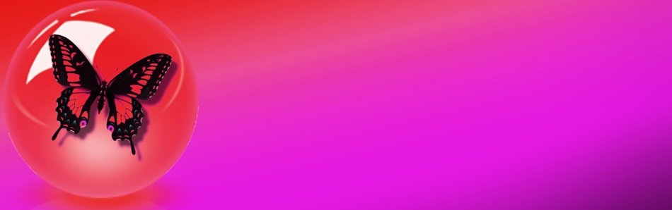 Banner Header Butterfly