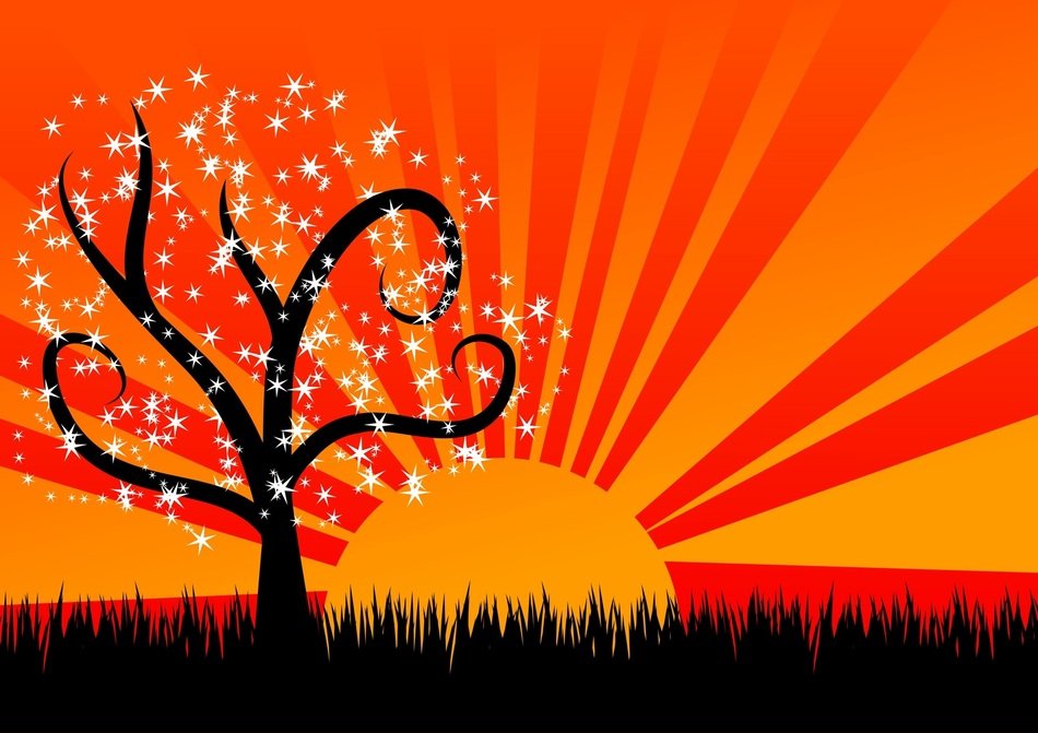 painted stars on the tree during the sunrise