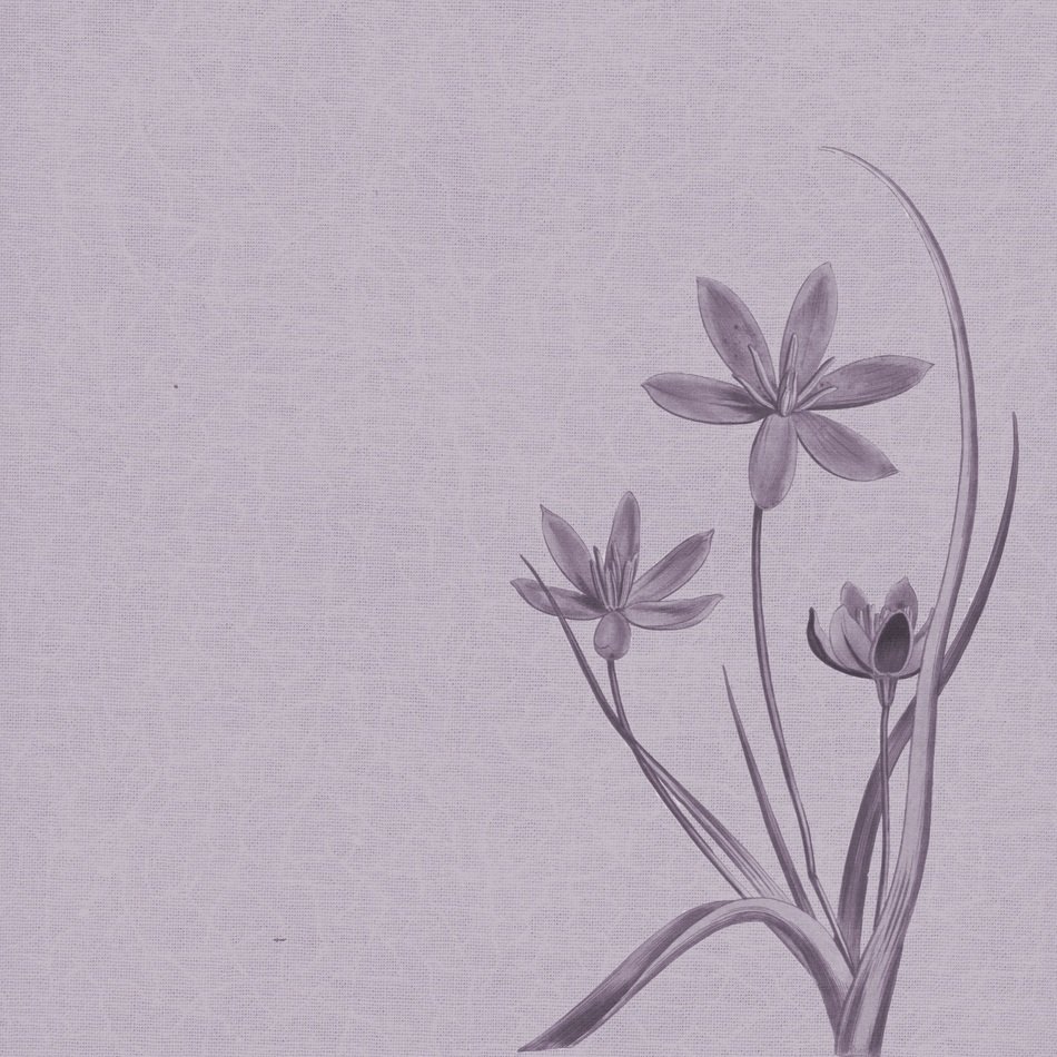 Background Vintage Drawing