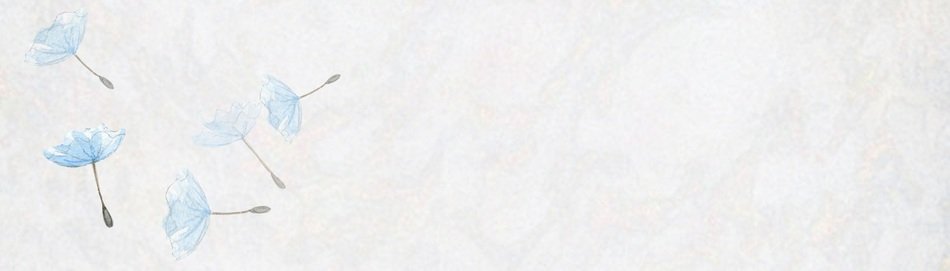 Banner Template Flowers Blue