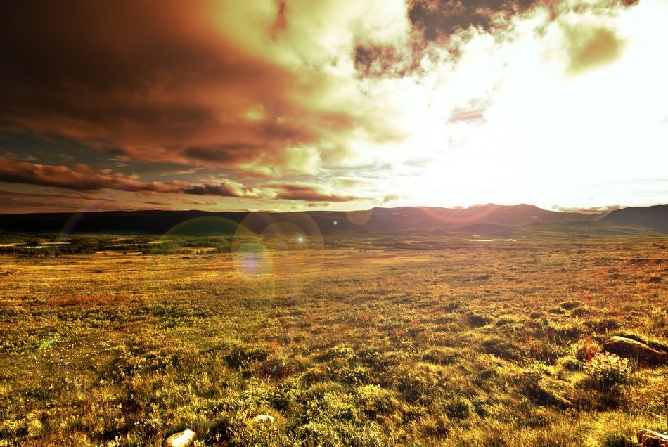 The Nature Of The Landscape