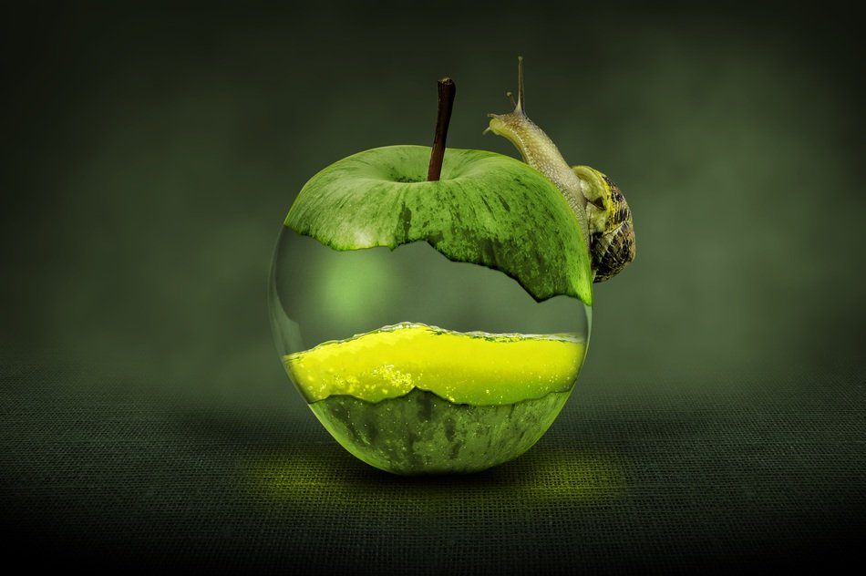 Apple Green Fruit Art