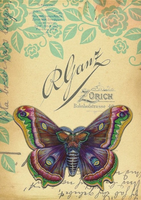 Vintage Butterfly German Flower