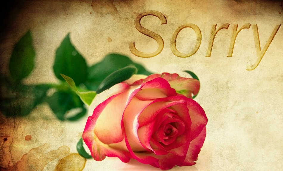 Rose Background Excuse Me