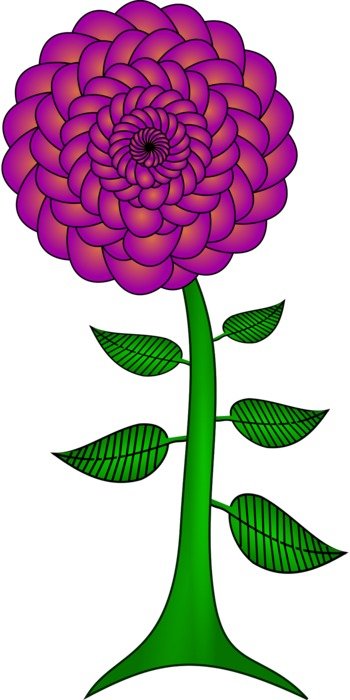 Flower Paisley Paisley Petals