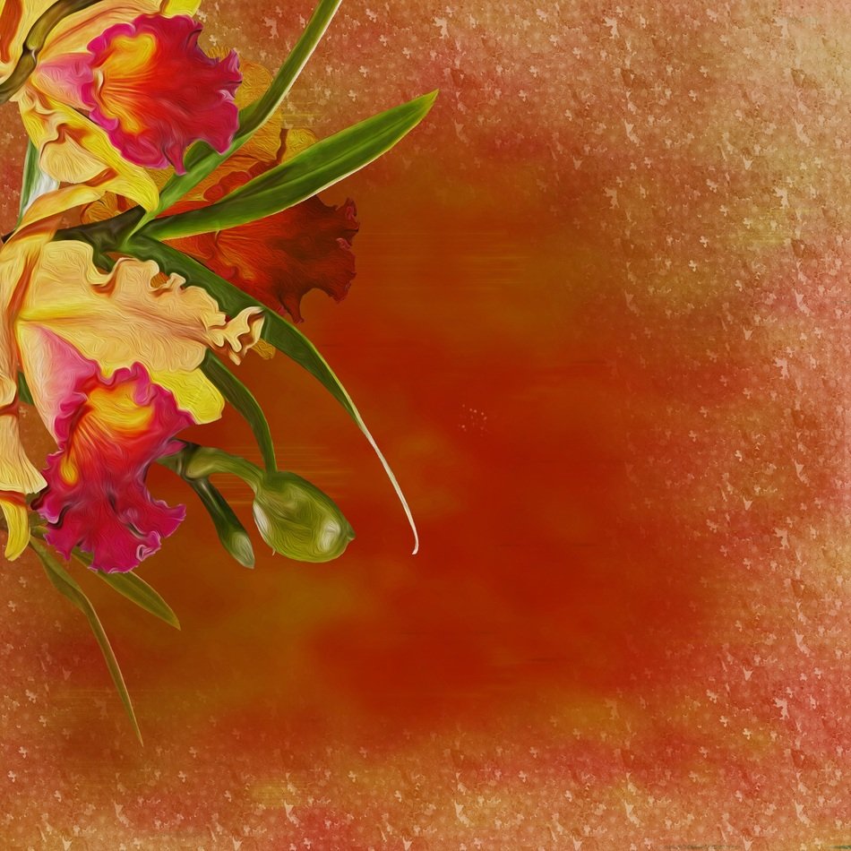 orange background with flowers