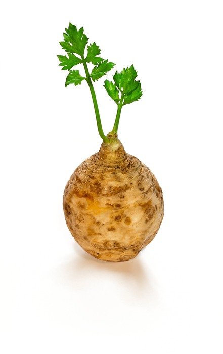 Celery Vegetable Food Diet