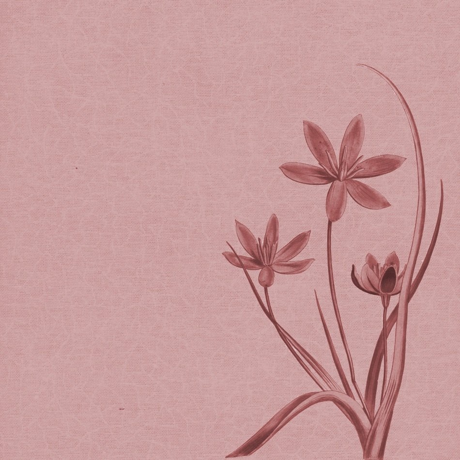 Background Vintage Drawing Sepia