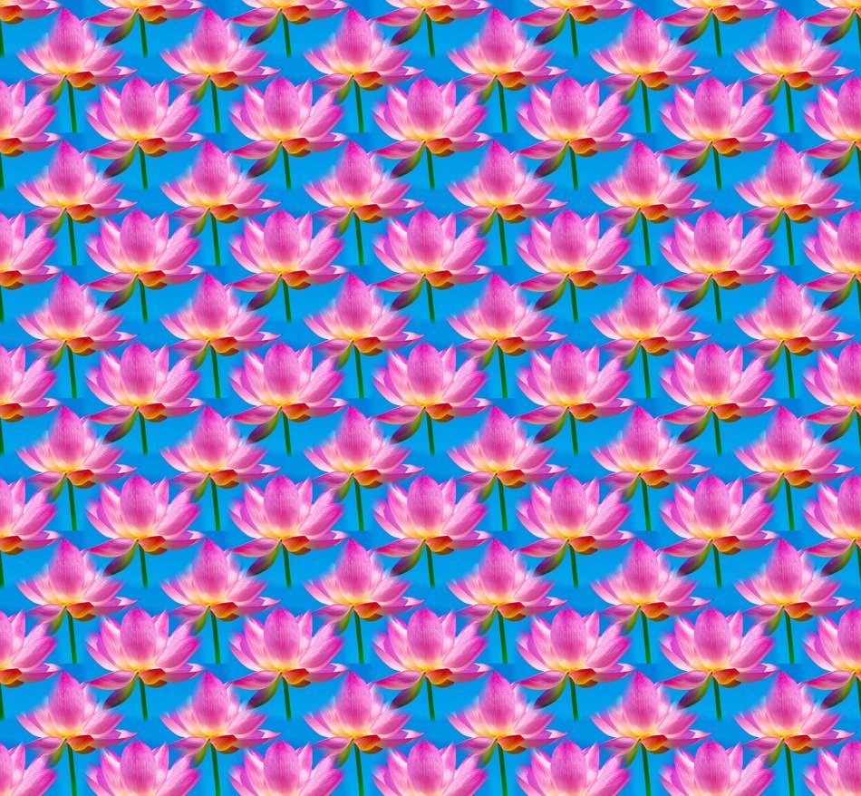 Seamless Flower Pattern Colorful