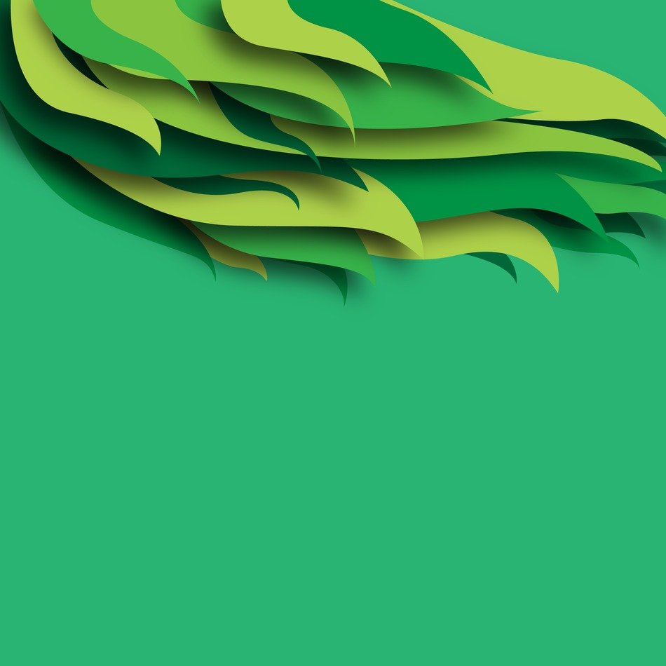 Green Background Feather Abstract