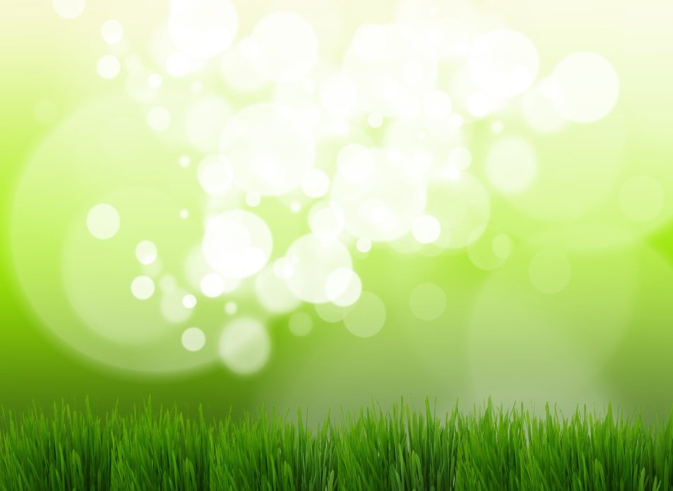 Bokeh Easter Background Rush