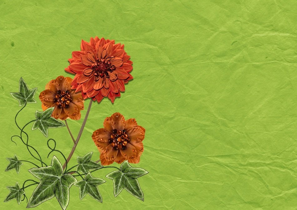 Vintage Background Decor Ivy
