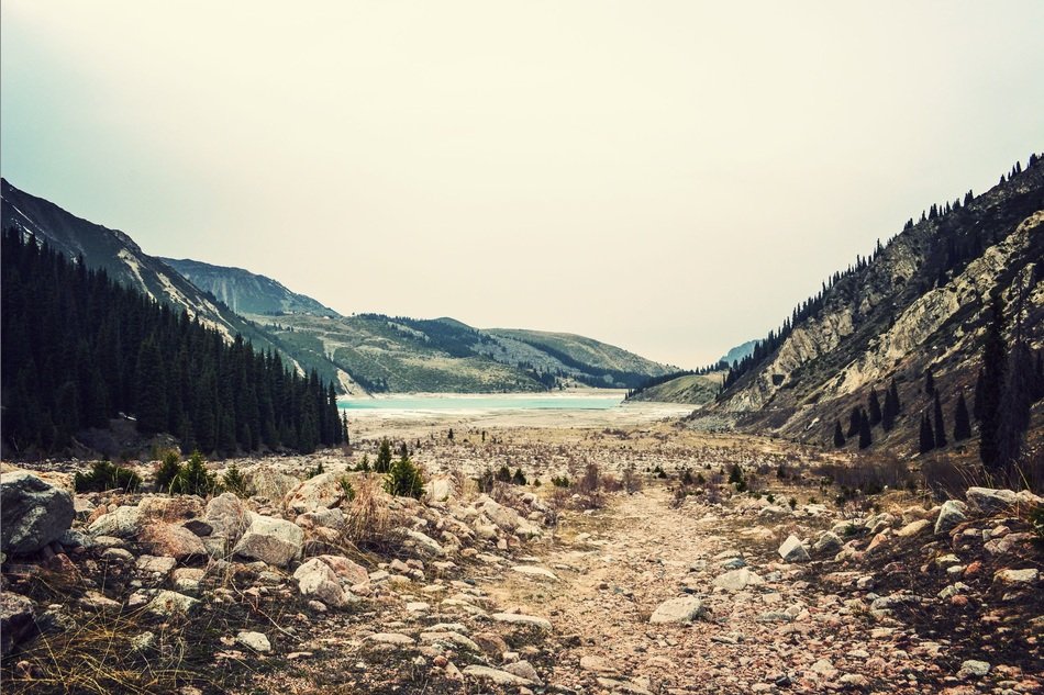 Mountains Wilderness Trees Water