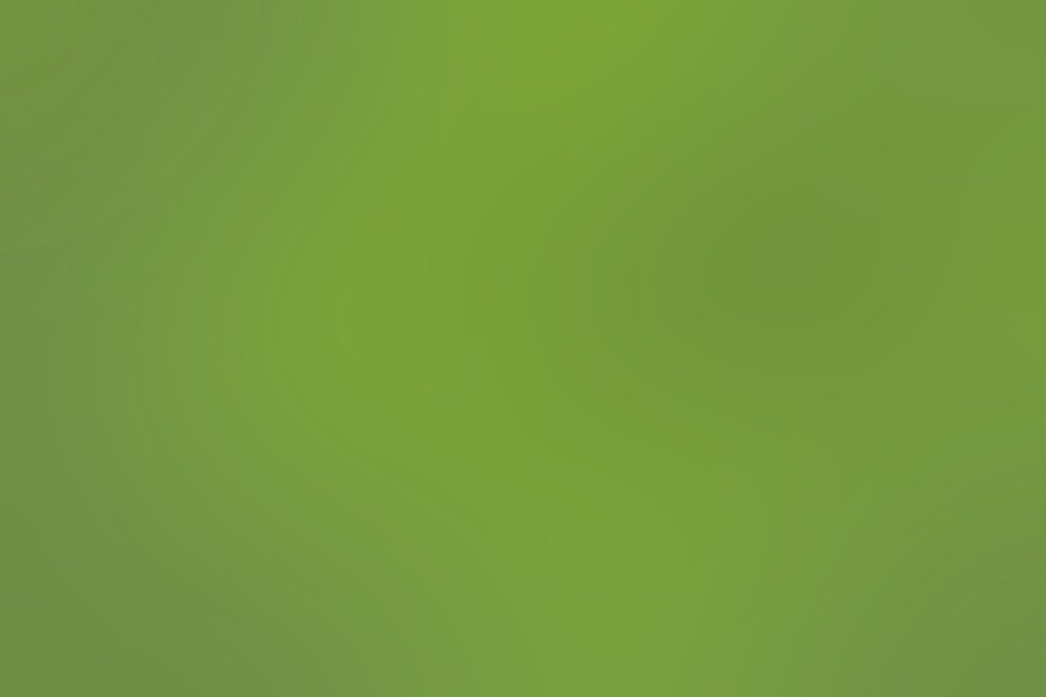 Green Color Simply Background