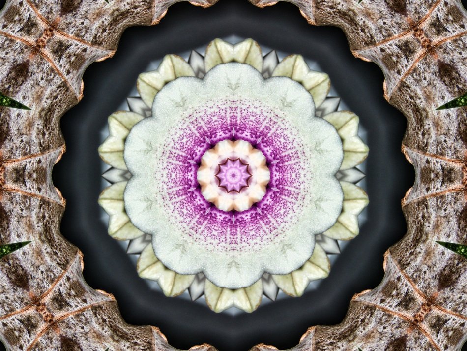 Pattern Form District Background