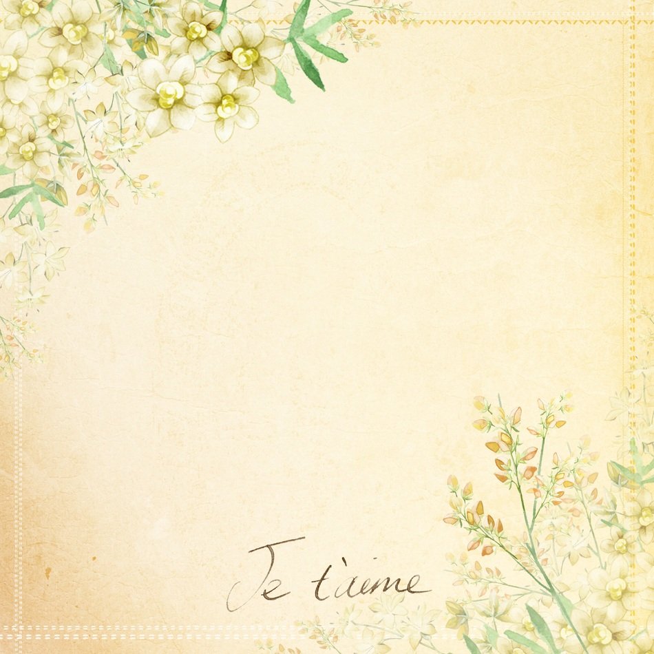 Background Peach Soft Flower