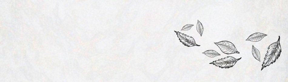 Banner Template Leaves Grey