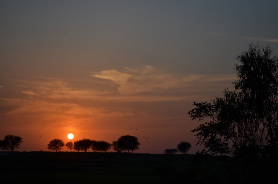 Sunset Evening Landscape Sun