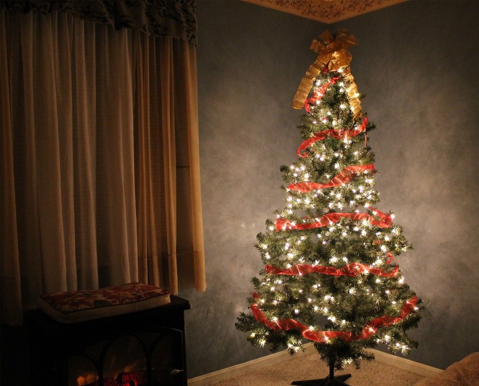 Christmas Christmas Tree Holiday