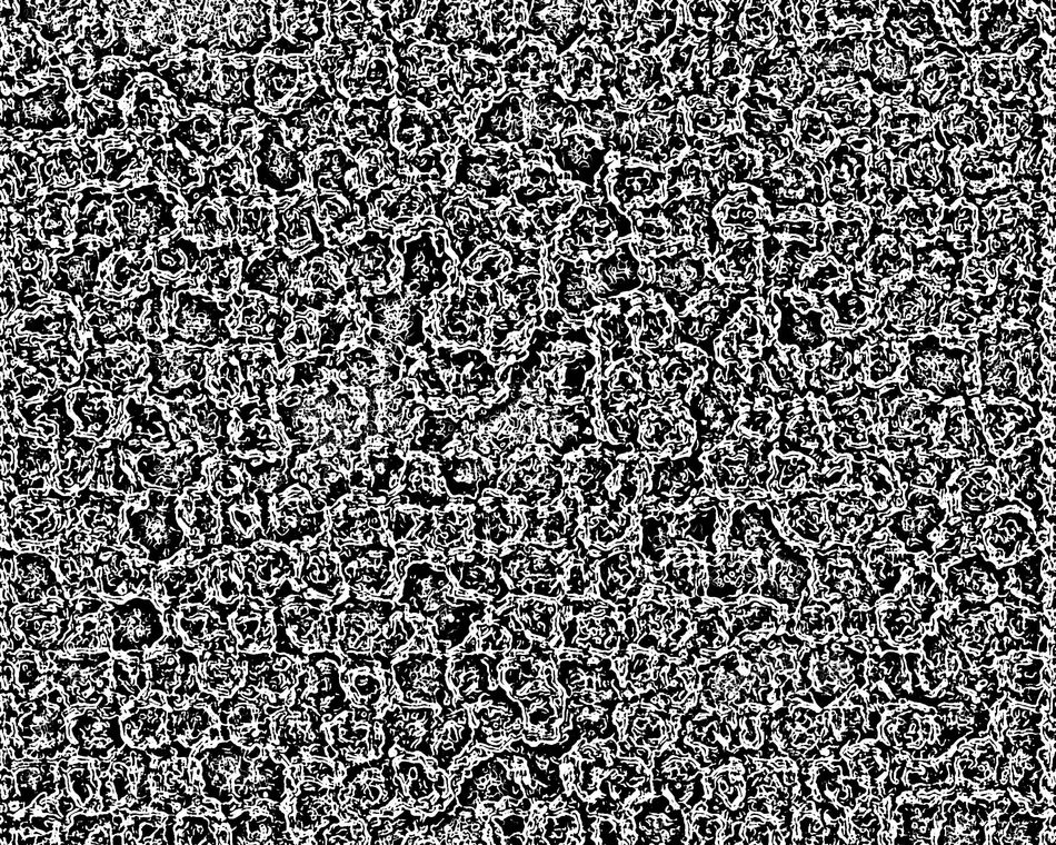 Abstract Fractal Bacterium