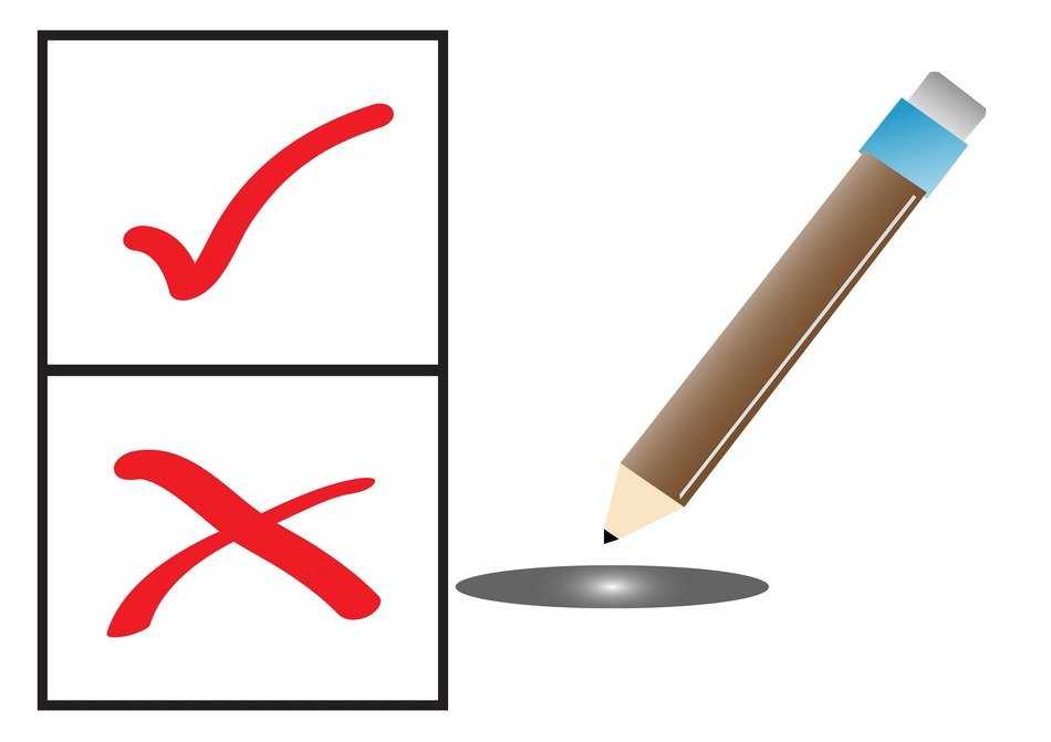 Vote Election Icon Vector