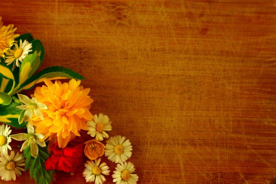 Flower Background Yellow Blossom