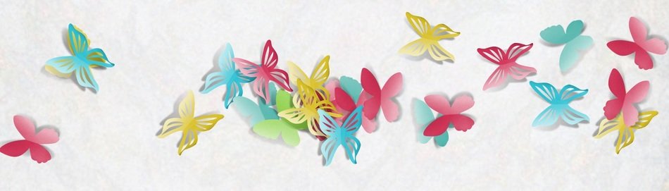 Banner Template Butterfly Grey