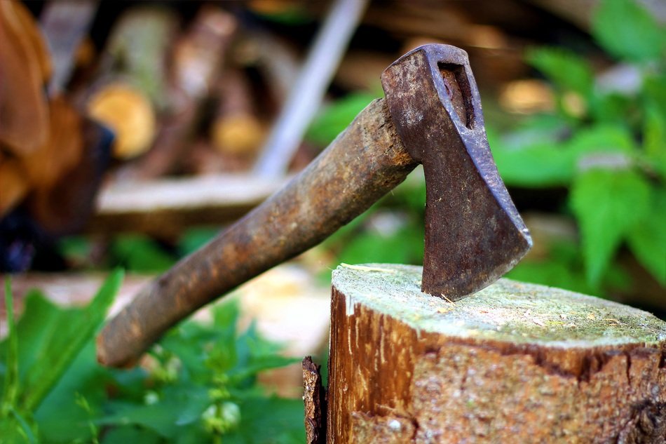 Axe Old Lumberjack Blade