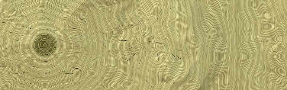Banner Header Wood Texture