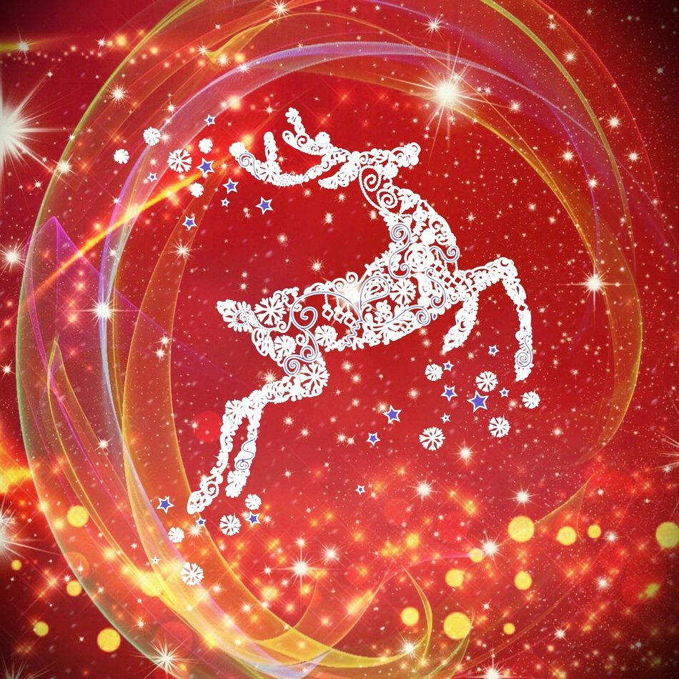 Background Reindeer Christmas