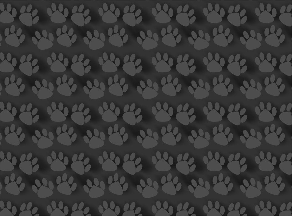 grey background with animal footprint