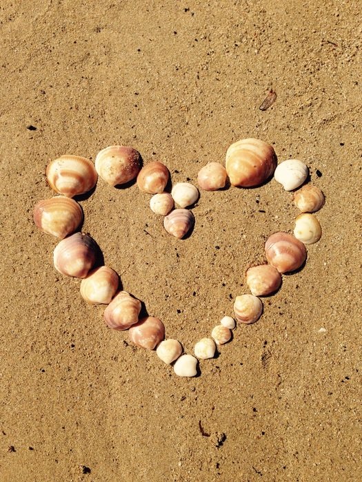 Heart Love Shell Sand Sea