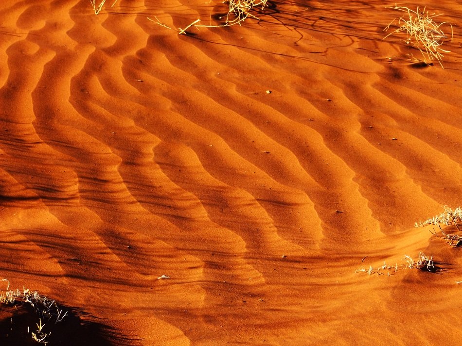 Pattern Sand Desert Orange