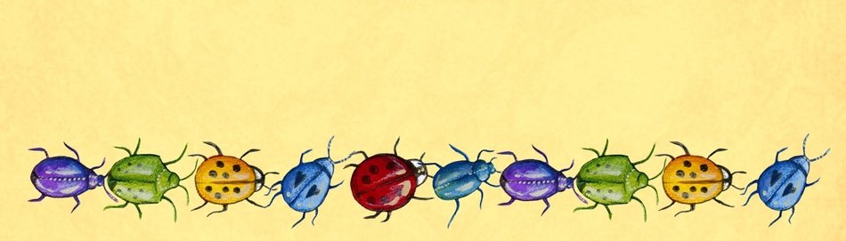 Banner Template Orange Bugs