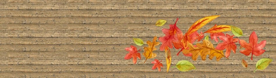Web Banner Template Autumn
