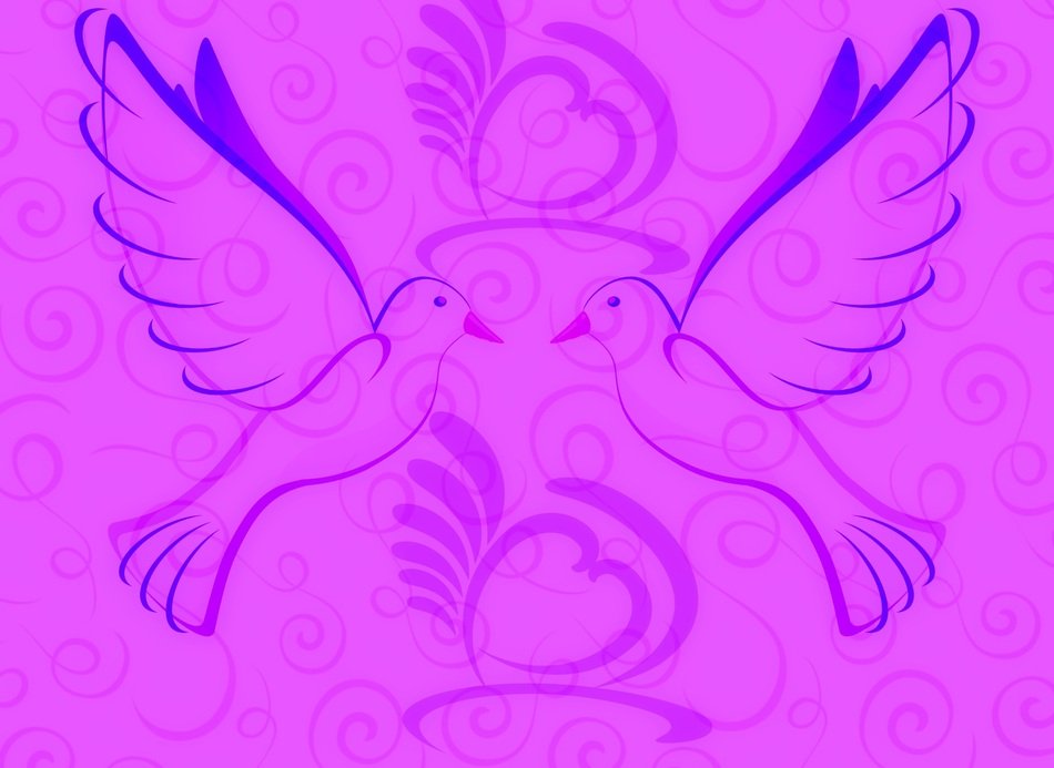 purple background with pigeons