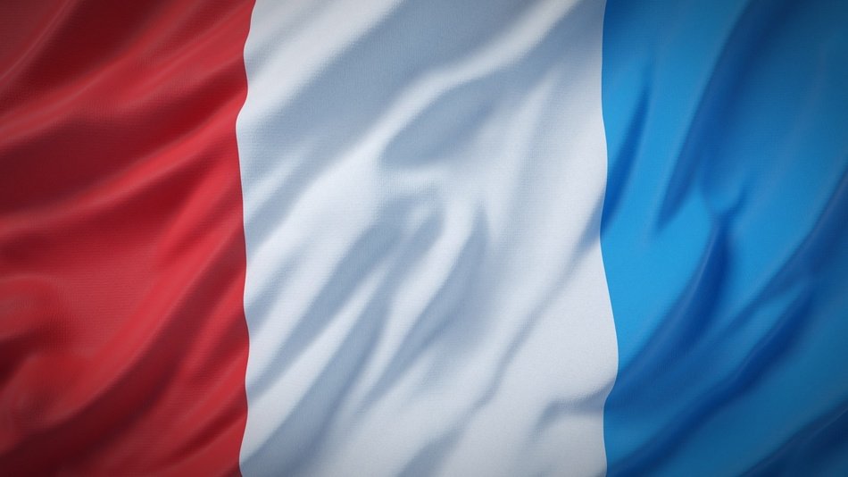 France Flag National Flag France