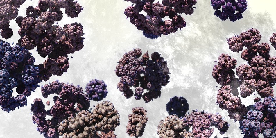Fractal Microscope Microcosm