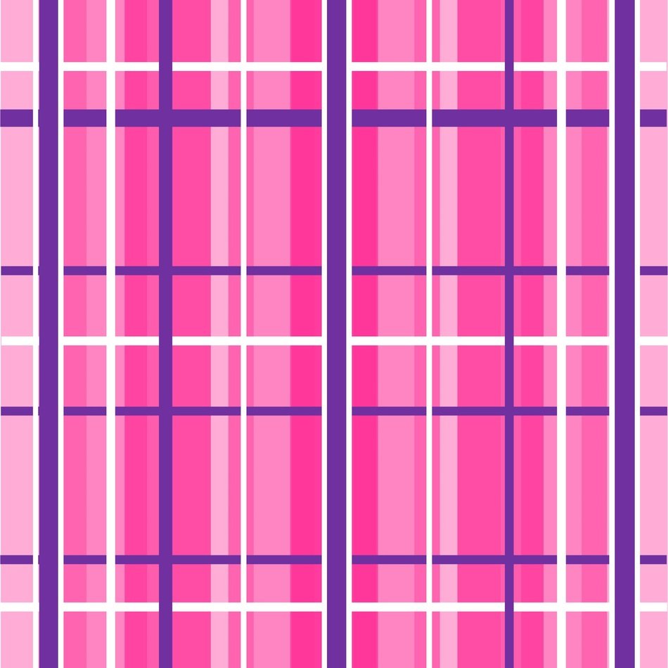 Gingham Hot Pink Navy White