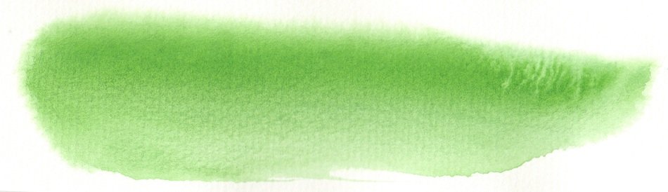 Watercolour Green Brushstroke