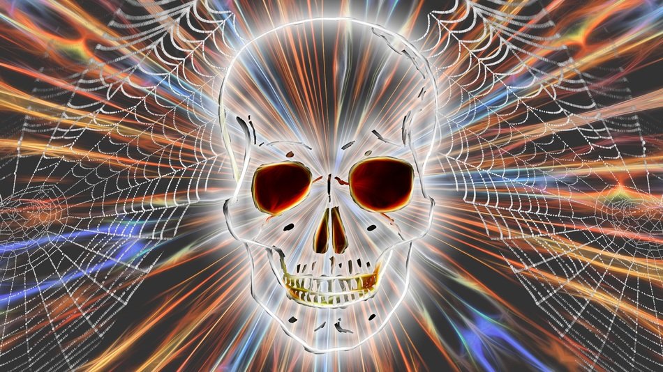 Skull And Crossbones Network