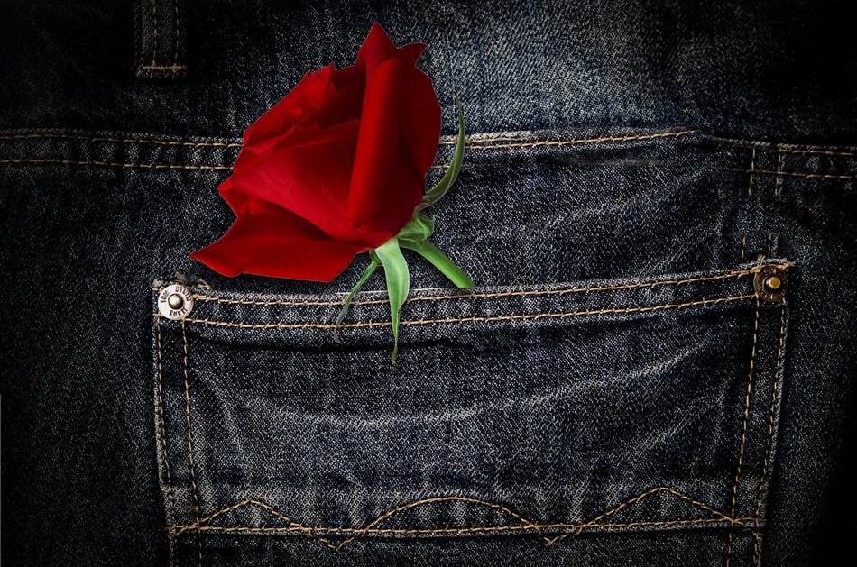 Pants Rose Flower Red Blossom