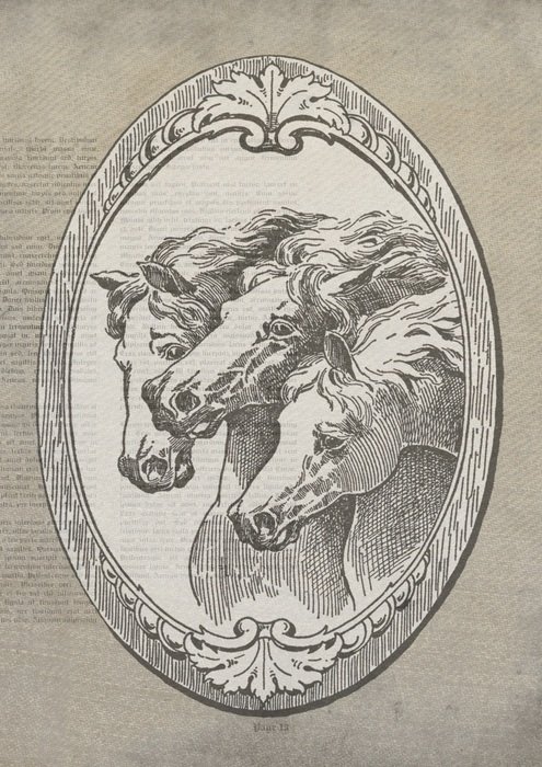 Horses Drawing Old Typography