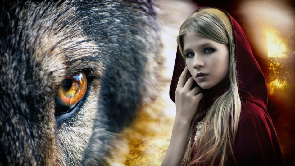 Chaperone Red Wolf Forest