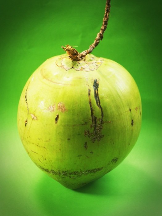 green coconut on green background