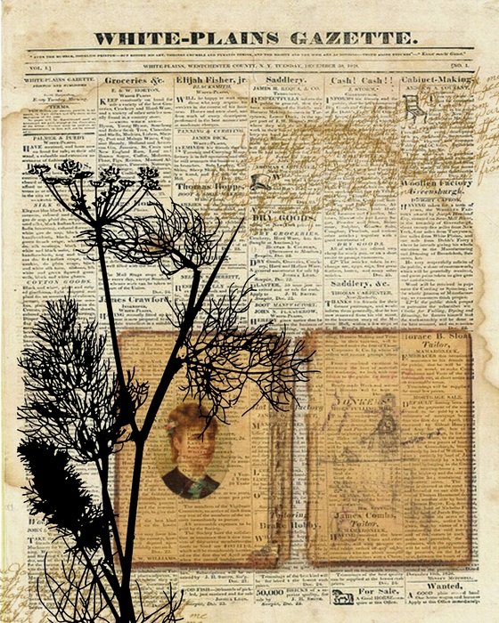 Vintage Background Antique Old