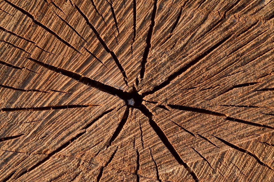Background Wood Structure