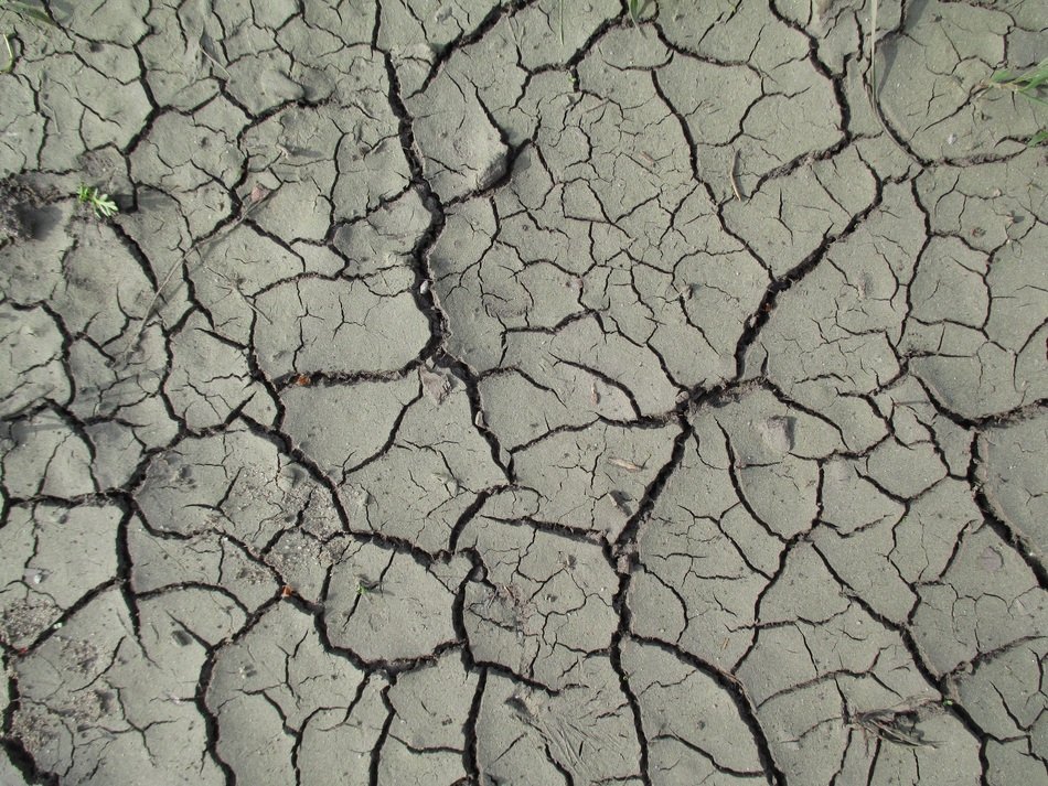 Texture Nature Mud Trough River